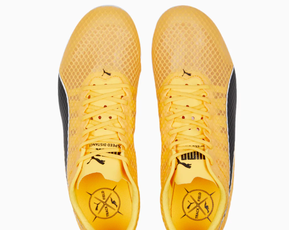 Puma evoSPEED Distance 11 - Mens - Image 5